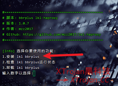 搭建隧道中转线路 NAT VPS 的图文使用教程- Xulala