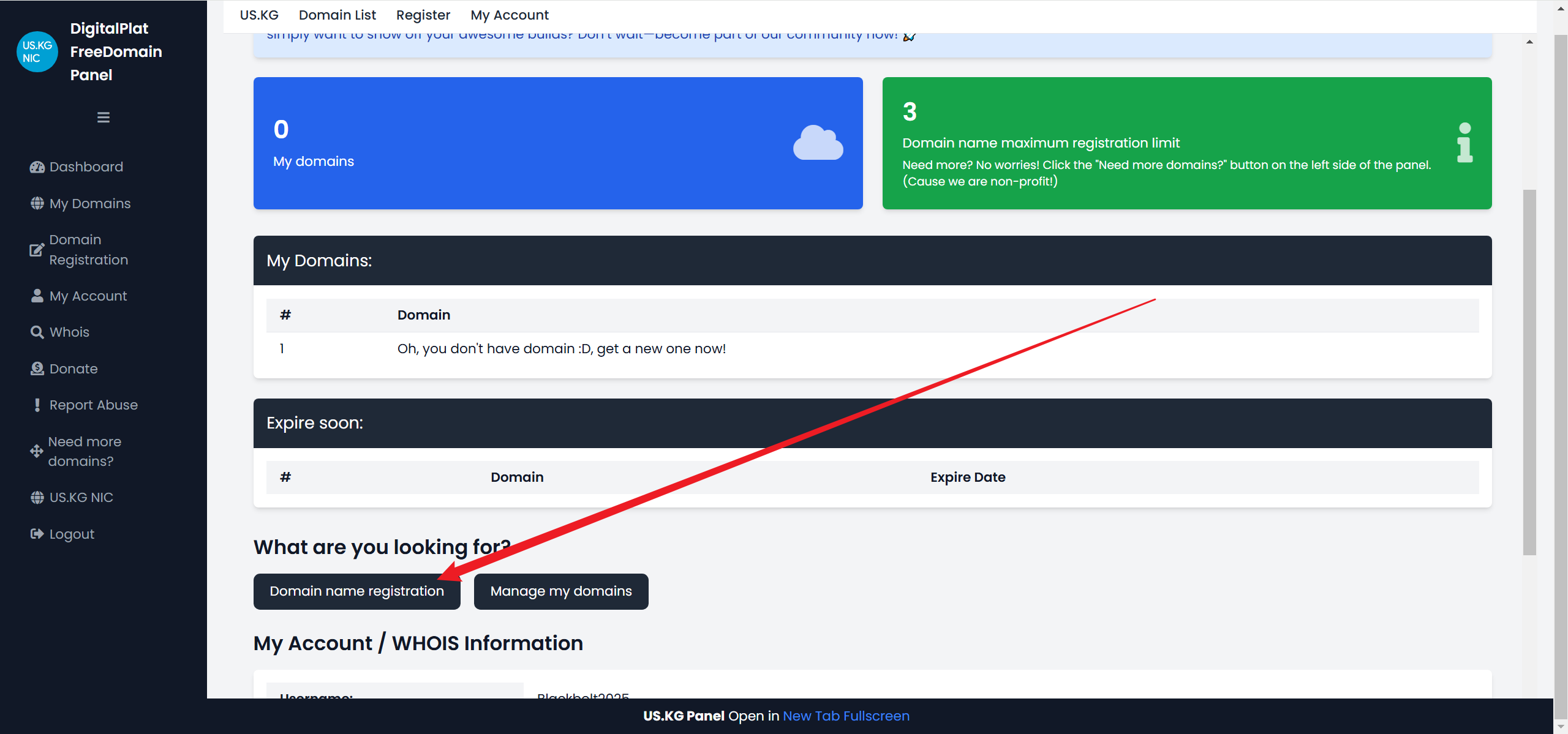 永久免费二级域名（US.KG）注册教程：可绑定 Cloudflare，仅需邮箱即可注册- Xulala